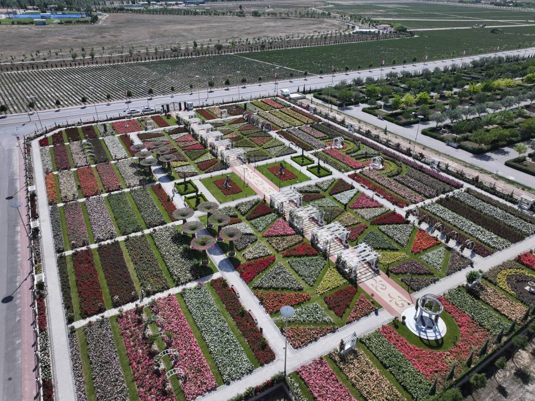 Doğanın en güzel tonları Karatay’da! Her detayıyla hayran bırakıyor 1